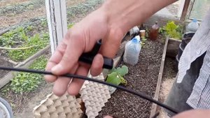 ЛУЧШИЙ КАПЕЛЬНЫЙ ПОЛИВ. Установка и сборка капельного полива. Капельное орошение. Фирма "Цикл"."