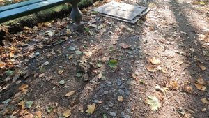 Питер - с двумя детьми за 5 дней!