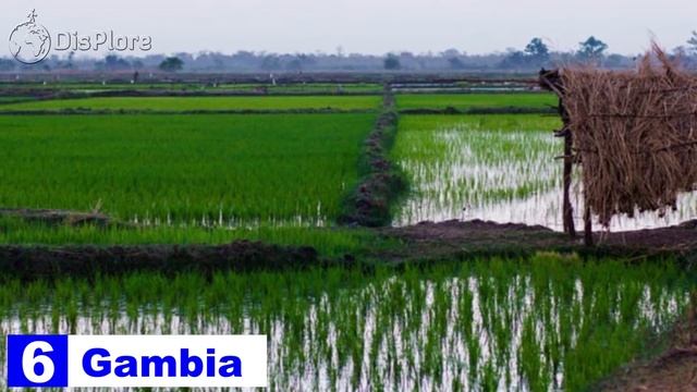 Top 10 African Countries With the Least Natural Resources смотреть онлайн