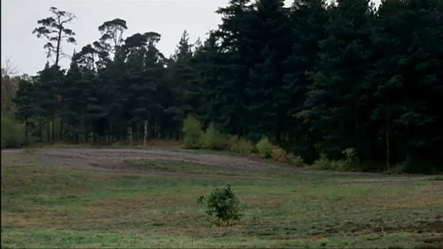 Monty Python - Как правильно прятаться смотреть онлайн