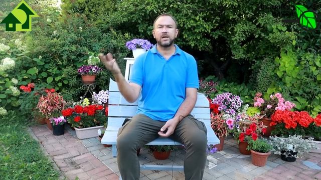 ВРЕМЯ УДОБРЯТЬ ПОЧВУ! СИДЕРАТЫ - ПРИРОДНОЕ УДОБРЕНИЕ 1500 %! Как не прервать цикл плодородия? смотреть онлайн