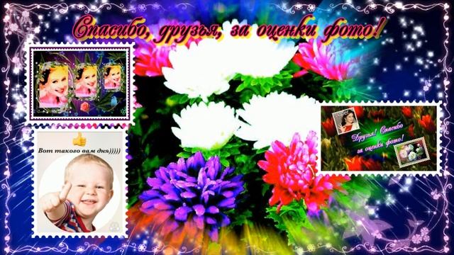 Спасибо, друзья, за оценки фото! смотреть онлайн