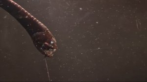 Чудовища океана🦈 Что скрывает океан?🌊