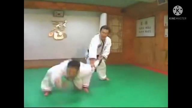 Hapkido techniques vol5 смотреть онлайн