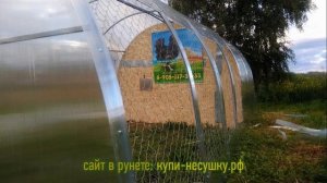 курятник из теплицы
