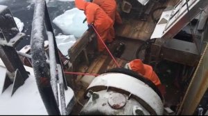 СТР-503 Арина. Промысел краба 2016