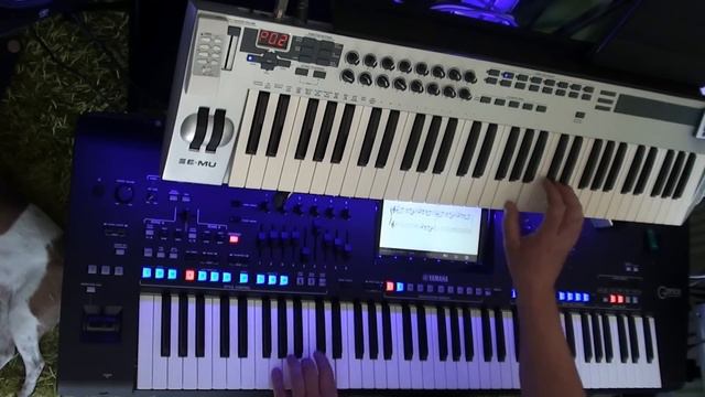 Enigma Sadeness Remix by Albert on Yamaha Genos смотреть онлайн