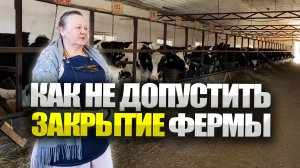 Как не допустить закрытие молочной фермы?