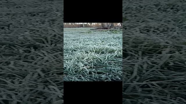 Погода в Сибири. Первые заморозки.