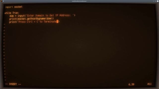 Python ASMR - Multiple Hostname to IP Lookup - No Talking смотреть онлайн