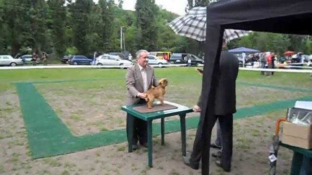 Фантазёр из Митьков Екатерины Черкассы 2012 смотреть онлайн