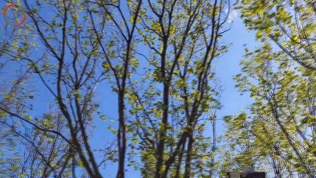 21 мая народный праздник. Иоанн Богослов. Что нельзя делать. Народные традиции  Сегодня Праздник!