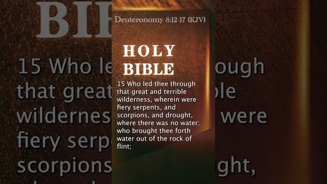 Deuteronomy 8:12-17 (KJV)