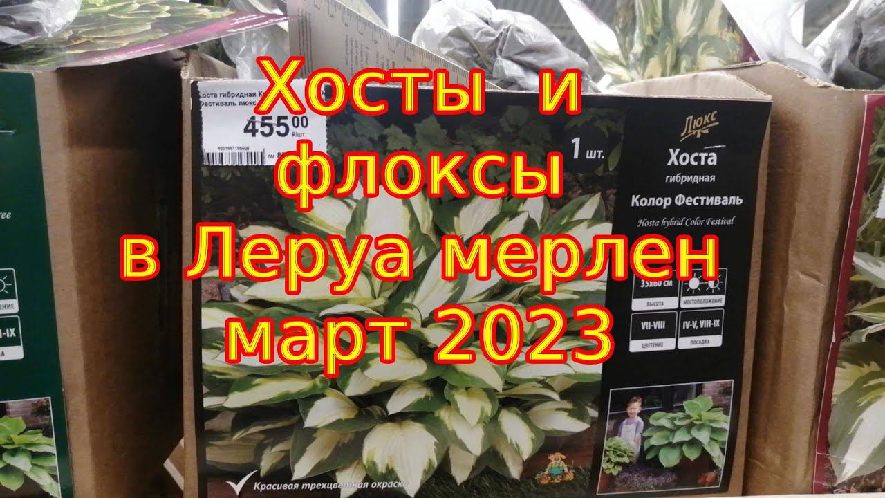 ЛЕРУА МЕРЛЕН Хосты и флоксы Март 2023