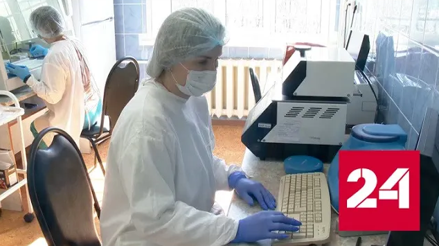 В России начали разработку вакцины от "кракена" - Россия 24 