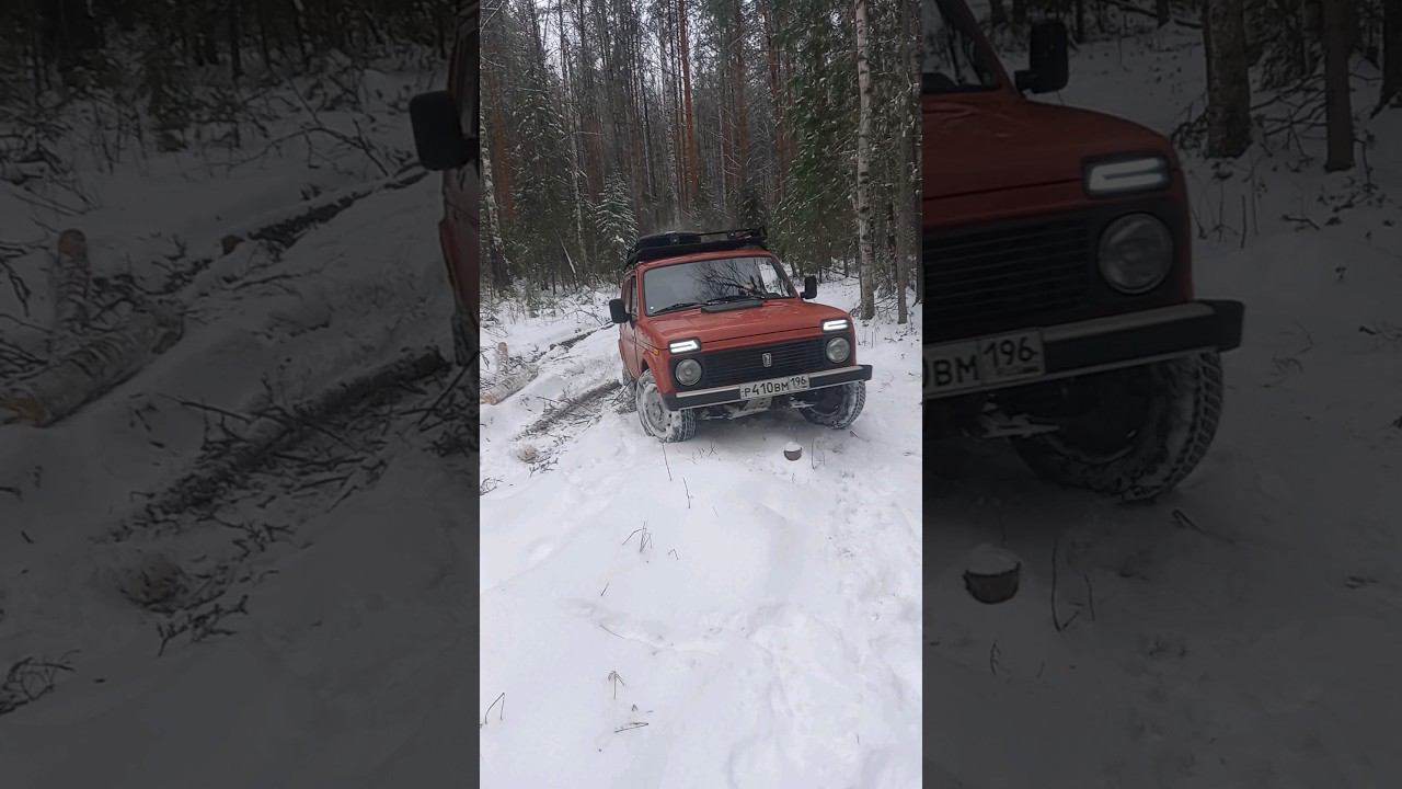 Нива в деле #бездорожье #урал4320 #automobile #offroad смотреть онлайн