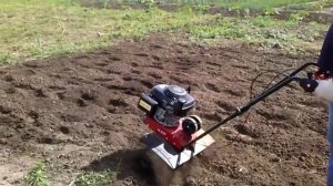 Пуберт 450 фан Работа