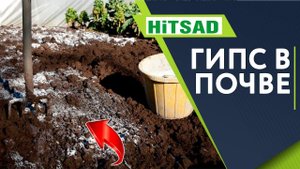 Почему НЕЛЬЗЯ Класть в ПОЧВУ ГИПС ✔️ Раскисление почвы Гипсом