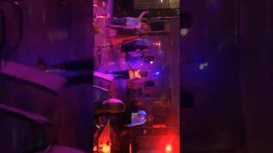 Сопрано втроём) Сочи) Адлер) Отель Фестиваль) 2018 июнь)