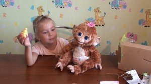 Распаковка игрушки интерактивная обезьяна FurReal friends open interactive toy monkey