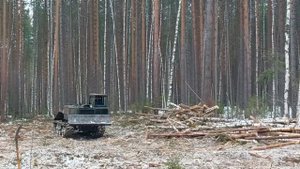 работа в лесу, лесозаготовка ,,282,,