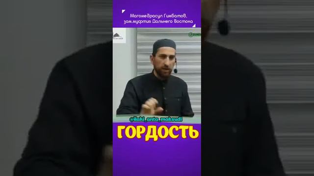 Вот она красота Ислама! смотреть онлайн