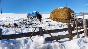 Дт-75. Будет сено - будет и молоко. Вывозка сена. Жизнь в деревне. #дт-75#деревня#сено