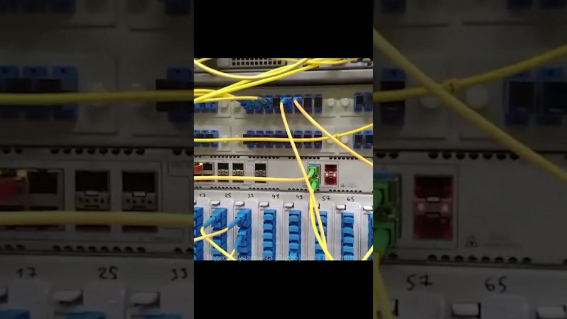 GPON OLT LTP 4X Eltex. Видео участника конкурса [Видео]охота на Eltex.