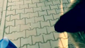 Мой маленький Чимкент ❤️ My small Chimkent