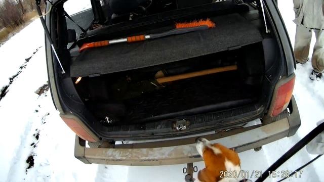 Один обычный охотничий день русского пегого гончего, с сокращением конечно смотреть онлайн