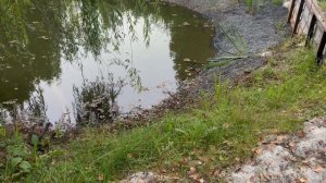 Постройка забора