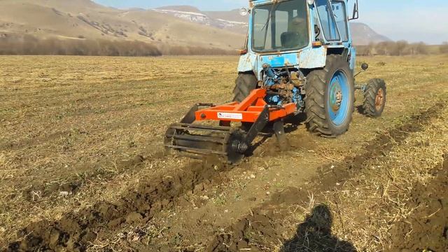 Чизельный плуг на ремонтантной  малине смотреть онлайн