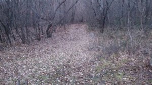 Петарда на основе магния и перманганата калия