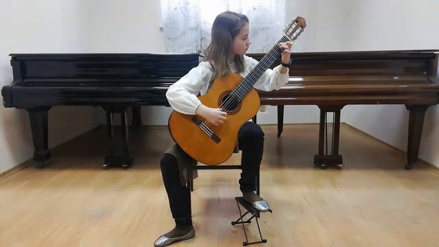 М.Джулиани.Тарантелла. исп.Гладкая София.