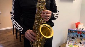 Yamaha Purple Logo YAS-62 Alto Saxophone Demo, www.dcsax.com