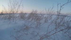 охота на лису с ружьем .mp4