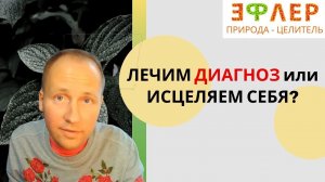 ВИРУСЫ и ИНФЕКЦИИ - Избавиться от Диагноза ВИЧ? | Как Найти ВЕРНЫЙ Путь к ИСЦЕЛЕНИЮ?