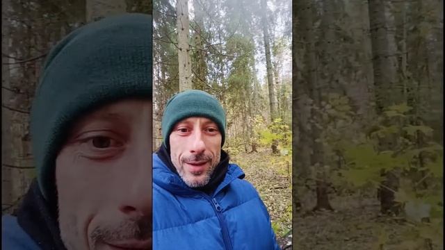 Как получить незабываемые эмоции от прогулки!) #природа #эмоции #юмор #приключения #мопс смотреть онлайн