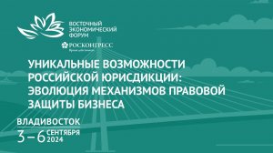 Уникальные возможности российской юрисдикции: эволюция механизмов правовой защиты бизнеса