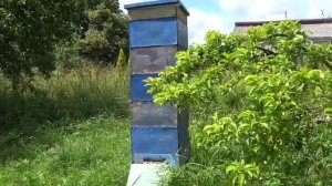Многокорпусный улей  - видео пчеловодство