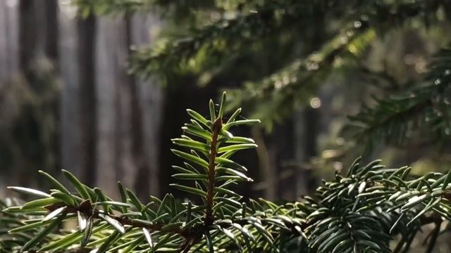 30 апреля в Народном Календаре смотреть онлайн