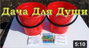 Скорая помощь ДЛЯ САДА. Обязательно сделайте это весной -2019!???