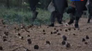 Сын ворона 1серия Syn vorona 2014 SATRip RG Russkie serialy & Files x Generalfilm