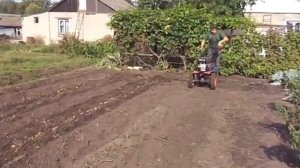 Копаем картошку самодельной копалкой