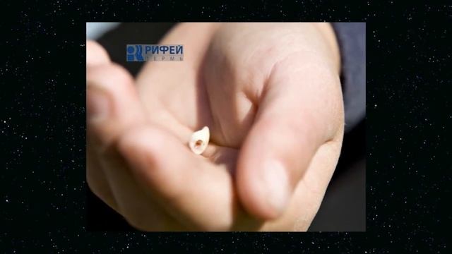 10 ИНТЕРЕСНЫХ ФАКТОВ О КОШМАРАХ смотреть онлайн