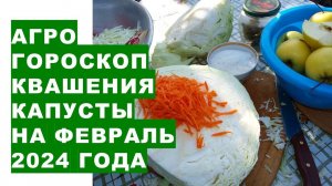 Агрогороскоп квашения капусты на февраль 2024 годаAgrogoroscope of sauerkraut in February 2024