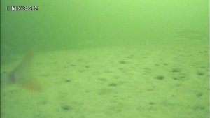 Кудиновский карьер, глубина 7 метров, запись на монитор