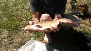 снова рыбалка в Бундино