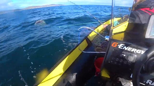 Рыбалка осенью в Баренцевом море . разнообразие улова. смотреть онлайн