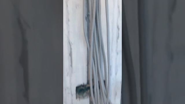 Быстрый и качественный монтаж по электрике..... смотреть онлайн